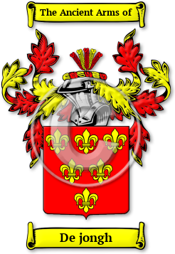 De jongh Family Crest Download (jpg) Legacy Series - 150 DPI